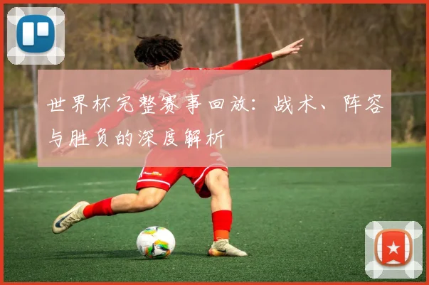 世界杯完整赛事回放：战术、阵容与胜负的深度解析