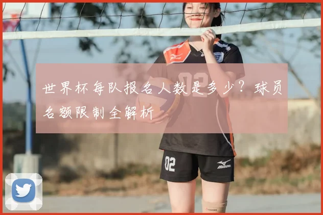 世界杯每队报名人数是多少？球员名额限制全解析