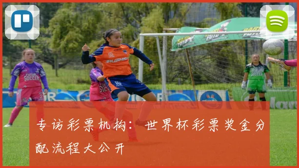 专访彩票机构：世界杯彩票奖金分配流程大公开