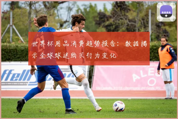 世界杯用品消费趋势报告：数据揭示全球球迷购买行为变化