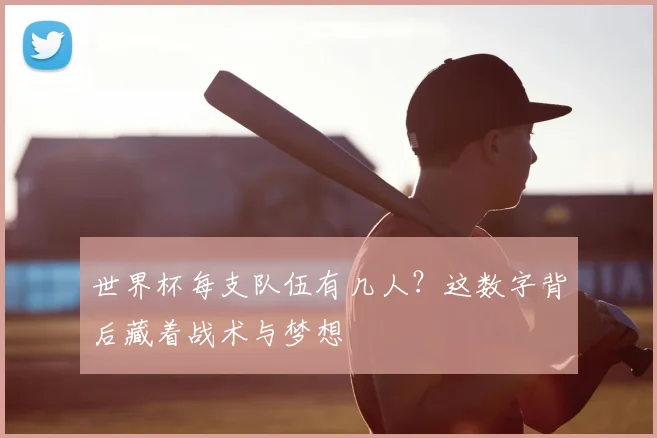 世界杯每支队伍有几人？这数字背后藏着战术与梦想