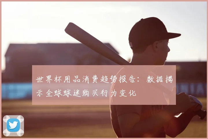 世界杯用品消费趋势报告:数据揭示全球球迷购买行为变化