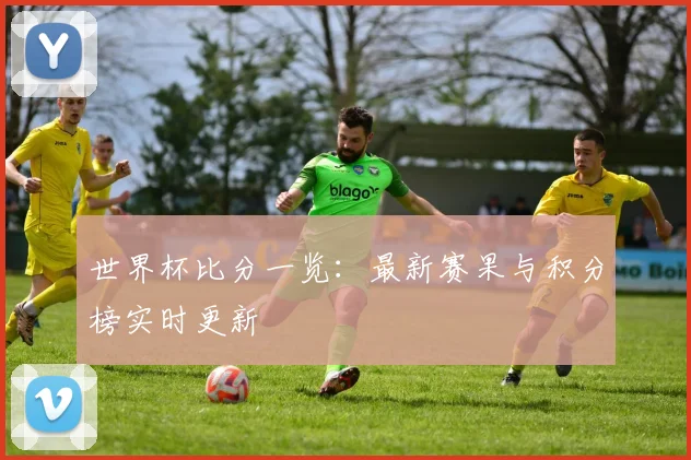 世界杯比分一览:最新赛果与积分榜实时更新