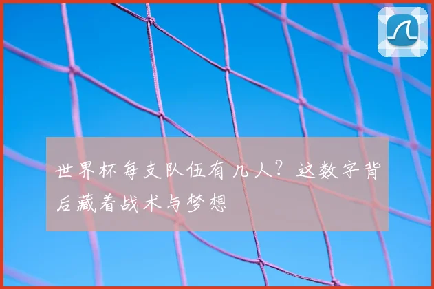 世界杯每支队伍有几人？这数字背后藏着战术与梦想
